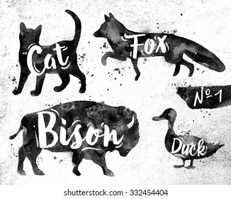 Silhouettes of animal cat, fox, bison, duck drawing black paint on background of dirty paper