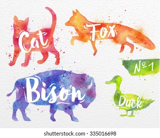 Silhouettes of animal cat, fox, bison, duck drawing color paint on background of paper