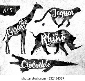 Silhouettes of animal giraffe, rhino, crocodile, cheetah drawing black paint on background of dirty paper