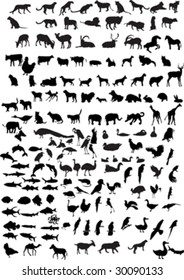 silhouettes of animals