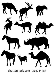 Silhouettes of animals