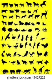 silhouettes of animals