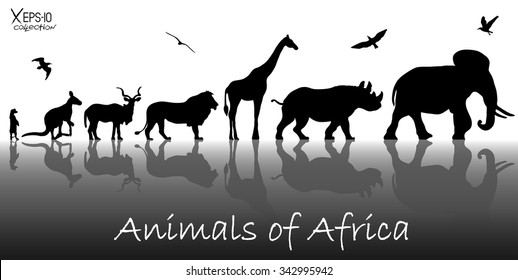 Silhouettes of animals of Africa: meerkat, kangaroo, kudu antelope, lion, giraffe, rhino, elephant and birds with reflections background. Vector illustration