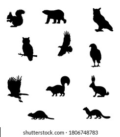 silhouettes of animals bird and Owl