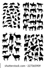 Silhouettes of animals living with people