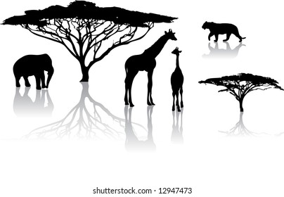 Silhouettes of animals from safari / zoo