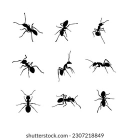 silhouettes of ants in different poses, ant vector