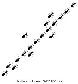 Silhouettes of ants walking in a row on a white background. Traces of worker ant colonies.