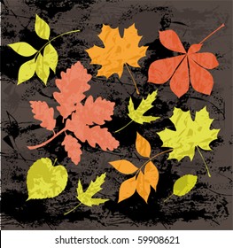 Silhouettes de hojas de otoño. Todos los elementos y texturas son objetos individuales. Escala de ilustración vectorial a cualquier tamaño.