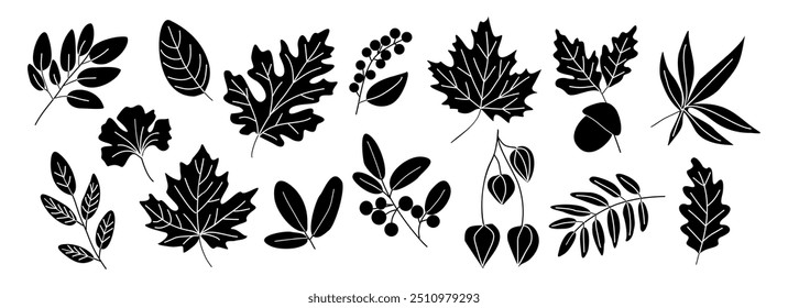 Silhuetas de folhas de outono preto vetor ilustração plana. Coleção de vários ramos e folhagem isolados no fundo branco. Elementos de design desenhados à mão na época de outono, clipart.