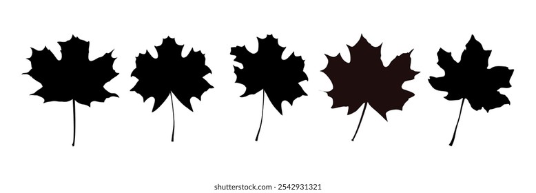 Silhouetten von Herbst Ahornblätter - Vektorgrafik