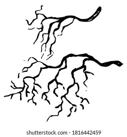 Silhouettes of bare branches. Hand drawn vector illustration. Doodle, sketching. Black contour drawing isolated on white. Primitive style single picture for design, print, card, poster, sticker, decor