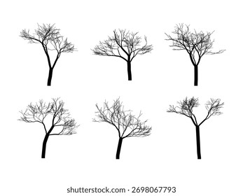 Silhouettes of bare trees isolated on white background for creative compositions and artistic representations of natures beauty