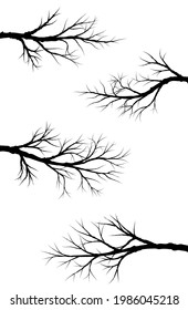 Silhouettes of Barren Tree Branches Isolated on White