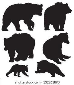 silhouettes of the bears vector set