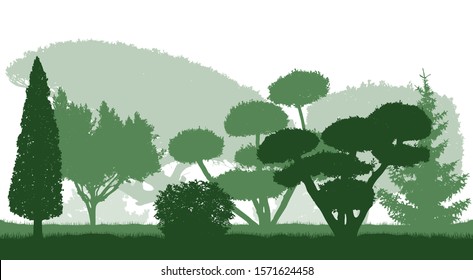 Silhouettes of beautiful ornamental trees in the Botanical garden. Vector illustration.