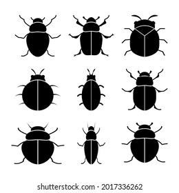 Silhouettes of beetles of the Coleoptera family are black on a white background. A vector image.