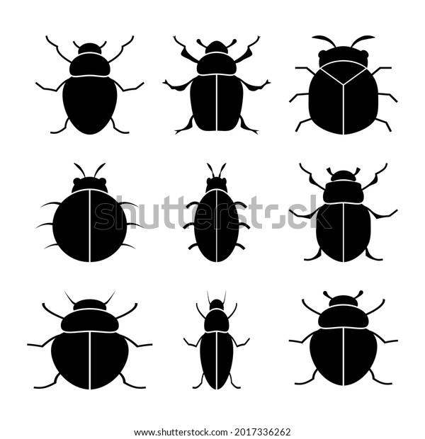 Silhouettes Beetles Coleoptera Family Black On Stock Vector (Royalty ...