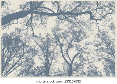 silhouettes of big trees in the park. detailed vector illustration