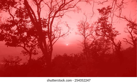 Silhouettes of big trees in the park on sunset. detailed vector illustration