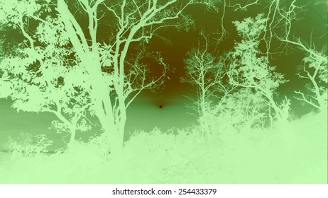 Silhouettes of big trees in the park on sunset. detailed vector illustration