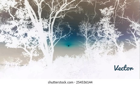 Silhouettes of big trees in the park on sunset. detailed vector illustration