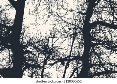 Silhouettes of big trees in the park. vector illustration