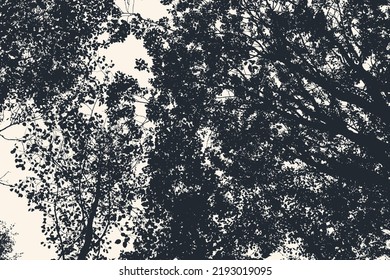 Silhouettes of big trees in the park. vector illustration