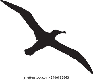 silhouettes of bird albatross, albatross bird silhouette vector illustration
