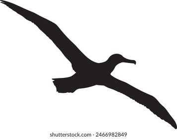 silhouettes of bird albatross, albatross bird silhouette vector illustration
