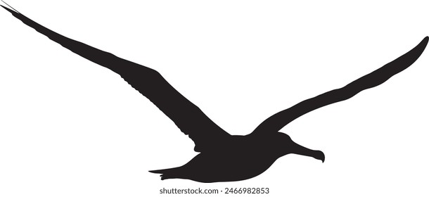 silhouettes of bird albatross, albatross bird silhouette vector illustration
