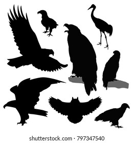 Silhouettes of birds.
