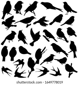 silhouettes of birds in black color, vector illustration, isolate on a white background