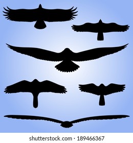 Silhouettes of birds. Black silhouettes of birds in flight. Vector illustration. 