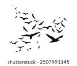 Silhouettes of Birds. Black-winged Shadows. Flock of Birds in Elegant Shapes across the twilight sky. Graceful Avian Outlines. Aerial Dance of Feathered Creatures. Sleek Soaring Birds on the Horizon.