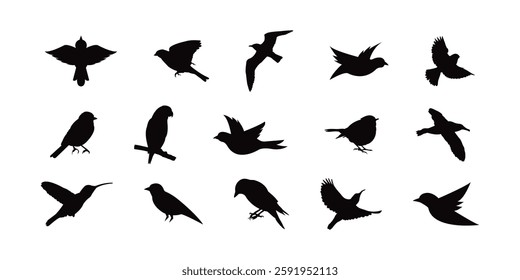 Silhouettes of birds doodle set. Black collection design animal cartoon for nature. Element graphic drawing sketch and isolated white background. Abstract decoration symbol