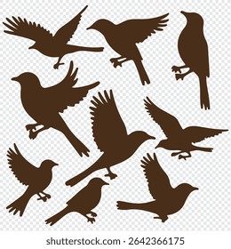 Silhouettes of birds doodle set. Black collection design animal cartoon for nature. Element graphic drawing sketch and isolated white background. Abstract decoration symbol.