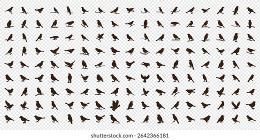 Silhouettes of birds doodle set. Black collection design animal cartoon for nature. Element graphic drawing sketch and isolated white background. Abstract decoration symbol.
