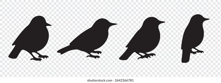 Silhouettes of birds doodle set. Black collection design animal cartoon for nature. Element graphic drawing sketch and isolated white background. Abstract decoration symbol