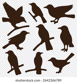 Silhouettes of birds doodle set. Black collection design animal cartoon for nature. Element graphic drawing sketch and isolated white background. Abstract decoration symbol