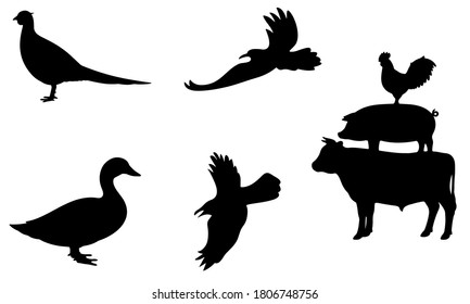 silhouettes of birds and duck