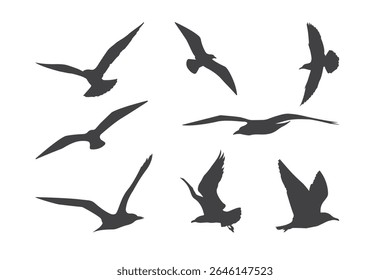 Silhouettes of Birds in Flight Displaying Varied Poses and Wing Shapes. vector illustration