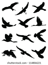 Silhouettes of birds in flight-vector