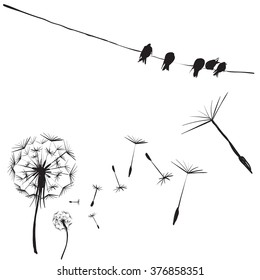 silhouettes of birds and flowers dandelion, birds on wires, vector isolated