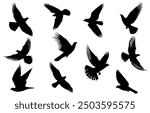 silhouettes of birds, Flying Bird Silhouette. A flock of flying birds. isolated bird flying. tattoo design. great set collection clip art Black vector illustration on white background, Sparrow