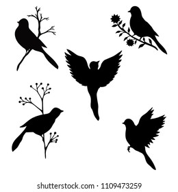 Silhouettes of birds isolated on white background. Vector illustration.