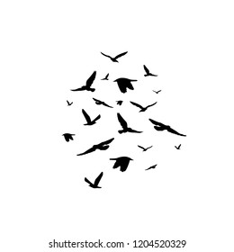 silhouettes of birds isolated on white background vector,  gull