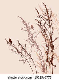 Silhouettes of birds on meadow plants