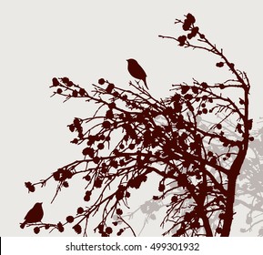 silhouettes of the birds on the pine branches
