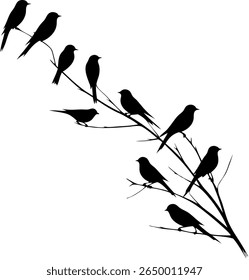 Silhouettes of Birds on a Tree Branch